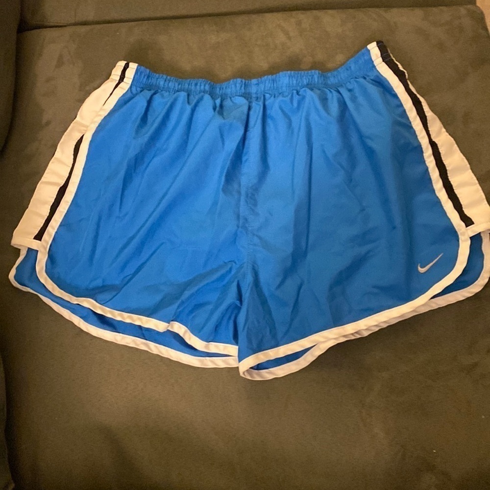 Nike Dry-fit Shorts